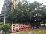 走进菩提伽耶，寻找佛教败走印度的原因 - 佛教在线