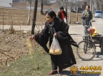 忻州市芝郡洪福寺举行春季护生活动 - 佛教在线