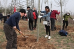 山西省通信管理局组织开展植树活动 - 通信管理局