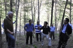 任建中厅长陪同德国专家来太岳林局考察碳汇造林项目 - 林业厅