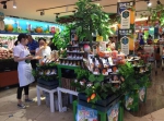 荷兰丰收联盟蔬果进入中国，首站亮相安徽乐城 - Linkshop.Com.Cn
