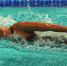 游泳接力铜牌IMG_4745.jpg - 省体育局