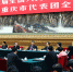3月10日，中共中央总书记、国家主席、中央军委主席习近平参加十三届全国人大一次会议重庆代表团的审议。 新华社记者 谢环驰 摄 - 广播电视