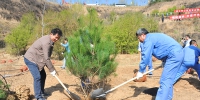 省国土厅组织开展义务植树活动 - 国土资源厅