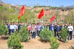 省国土厅组织开展义务植树活动 - 国土资源厅