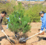 山西省国土厅组织开展义务植树活动 - 国土资源厅