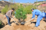 山西省国土厅组织开展义务植树活动 - 国土资源厅