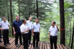 省直林局2018年半年工作会在五台林局召开 - 林业厅