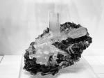 “中国地质博物馆百年精品展”将在山西地质博物馆开展 矿物、宝石、化石，让你一次看个够 - 国土资源厅