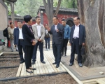 全国绿委办专职副主任胡章翠在太原调研指导古树名木保护工作 - 林业厅