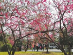 春色满园 - 太原新闻网