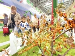社会各界热议第六届中国（山西）特色农产品交易博览会 - 太原新闻网