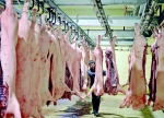 增加市场投放  保障猪肉供应 - 太原新闻网