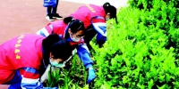杏花岭区3万志愿者在行动 - 太原新闻网