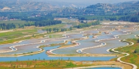 人工湿地 改善水质 - 太原新闻网
