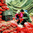 省城各大蔬菜批发市场货源充足、价格平稳 - 太原新闻网
