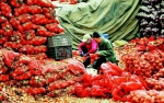 省城各大蔬菜批发市场货源充足、价格平稳 - 太原新闻网