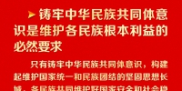 铸牢中华民族共同体意识 习近平强调这四个“必然要求” - 广播电视