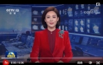 习近平和彭丽媛设宴欢迎出席北京2022年冬奥会开幕式的国际贵宾 - 广播电视