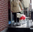 临汾市首条导盲犬“蜂蜜”上岗 - 残疾人联合会