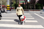 临汾市首条导盲犬“蜂蜜”上岗 - 残疾人联合会