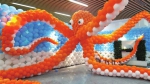 太原植物园首届气球展8月1日开展 - 太原新闻网