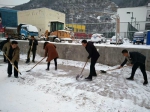 平顺县残联组织干部职工义务扫雪 - 残疾人联合会