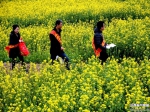 运城市局为“花之海•俏运城”提供气象服务 - 气象