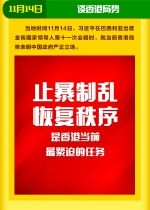 国家主席习近平出席巴西金砖峰会全记录 - 广播电视