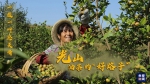 一枝一叶总关情丨光山油茶的“好路子” - 广播电视