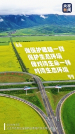 习近平：保护生态就是发展生产力！ - 广播电视