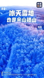 习近平：保护生态就是发展生产力！ - 广播电视