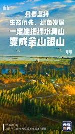 习近平：保护生态就是发展生产力！ - 广播电视