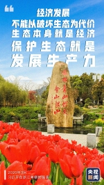 习近平：保护生态就是发展生产力！ - 广播电视