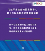 （图表·海报）［外事］习近平出席金砖国家领导人第十二次会晤并发表重要讲话（2） - 广播电视