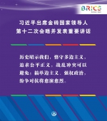 （图表·海报）［外事］习近平出席金砖国家领导人第十二次会晤并发表重要讲话（3） - 广播电视