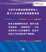 （图表·海报）［外事］习近平出席金砖国家领导人第十二次会晤并发表重要讲话（4） - 广播电视