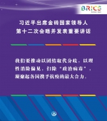 （图表·海报）［外事］习近平出席金砖国家领导人第十二次会晤并发表重要讲话（6） - 广播电视