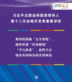 （图表·海报）［外事］习近平出席金砖国家领导人第十二次会晤并发表重要讲话（8） - 广播电视