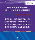 （图表·海报）［外事］习近平出席金砖国家领导人第十二次会晤并发表重要讲话（9） - 广播电视