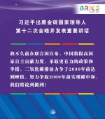 （图表·海报）［外事］习近平出席金砖国家领导人第十二次会晤并发表重要讲话（11） - 广播电视