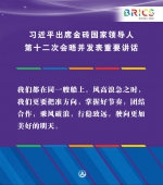 （图表·海报）［外事］习近平出席金砖国家领导人第十二次会晤并发表重要讲话（12） - 广播电视