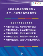 （图表·海报）［外事］习近平出席金砖国家领导人第十二次会晤并发表重要讲话（13） - 广播电视