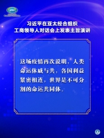 习近平在亚太经合组织工商领导人对话会上发表主旨演讲 - 广播电视