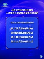 习近平在亚太经合组织工商领导人对话会上发表主旨演讲 - 广播电视