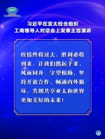 习近平在亚太经合组织工商领导人对话会上发表主旨演讲 - 广播电视