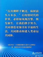 习近平在二十国集团领导人第十五次峰会第一阶段会议讲话要点 - 广播电视