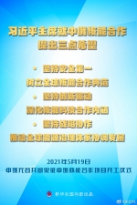 习近平主席就中俄核能合作提出三点希望 - 广播电视