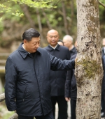 镜观•领航丨人与自然和谐共生——总书记引领绿色发展 - 广播电视