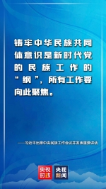 金句来了！习近平：推动新时代党的民族工作高质量发展 - 广播电视